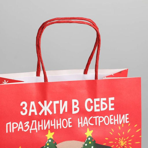 Пакет подарочный новогодний «Зажги в себе», 22 х 22 х 11 см