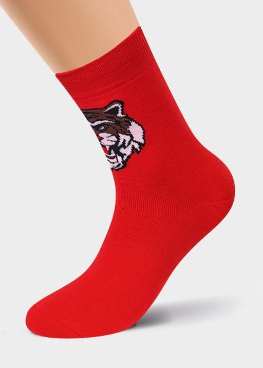 (CLE) К524П носки муж. плюш НГ - Clever wear фото 2