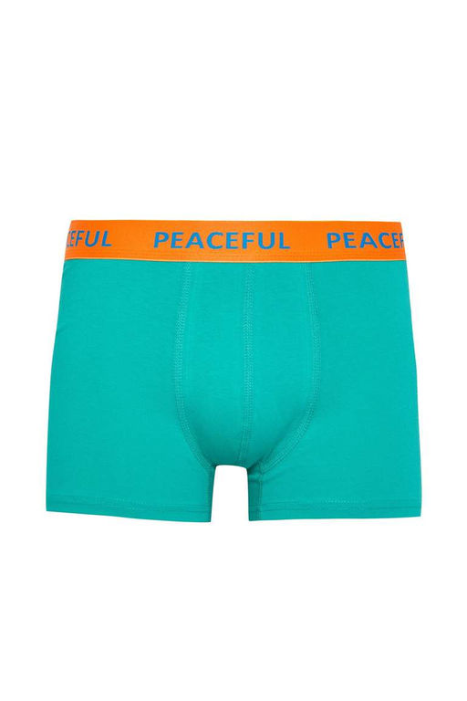 Комплект боксеров стандартной посадки (3 шт.) - Defacto фото 9