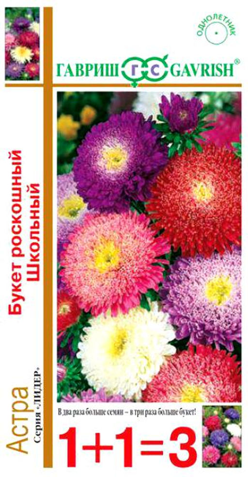 Букет роскошный школьный астра 0,5г (г)
