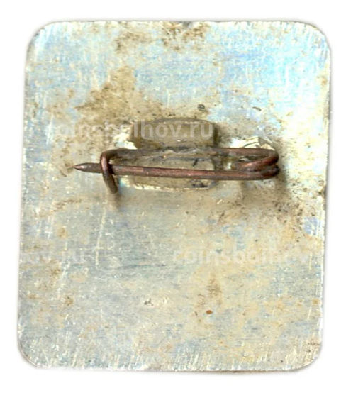 Значок Исторический музей