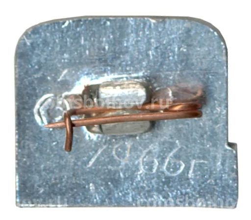 Значок Коломенское