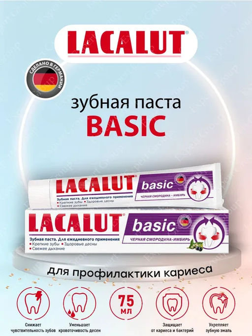 Basic черная смородина-имбирь зубная паста 75 мл LACALUT/Лакалют