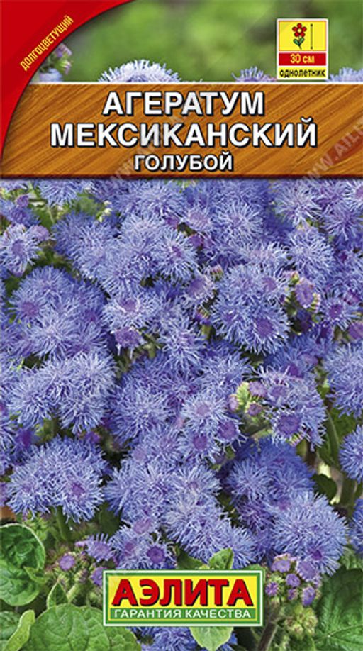 Агератум Мексиканский голубой (2025)