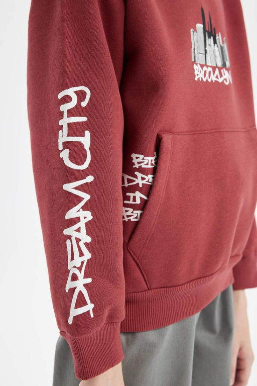 толстая толстовка с капюшоном и карманом кенгуру для мальчиков с принтом, тканевая толстовка - Defacto фото 6