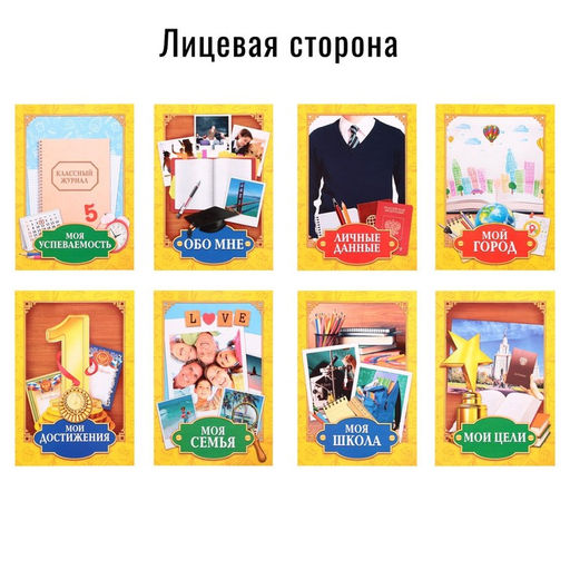 Папка школьная на кольцах «Портфолио школьника», 13 листов-разделителей, 24.5×32 см