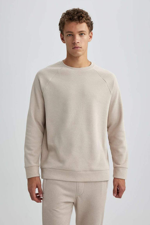 Толстовка стандартного кроя с круглым вырезом и вафельным узором - Defacto фото 5