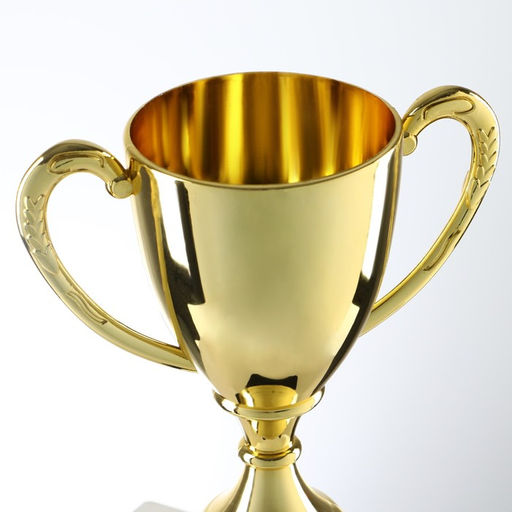 Кубок 053A, зол., подставка пластик, 24 14.5 8.5 см - Командор фото 5