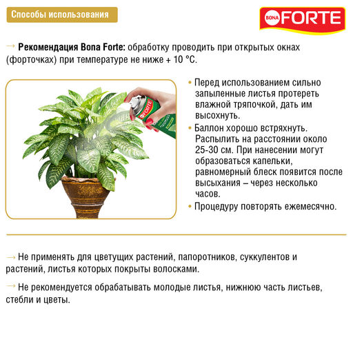 Аэрозоль блеск для листьев "Bona Forte" баллон 300мл