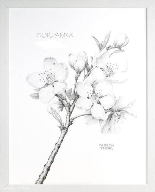 Фоторамка 15х21 / ZR208B-19 /уп10 - Галеонтрейд фото 2