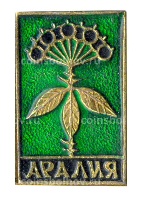 Значок Аралия