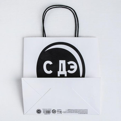 Пакет подарочный С Дэ Рэ, 22 22 11 см - Дарите счастье фото 4