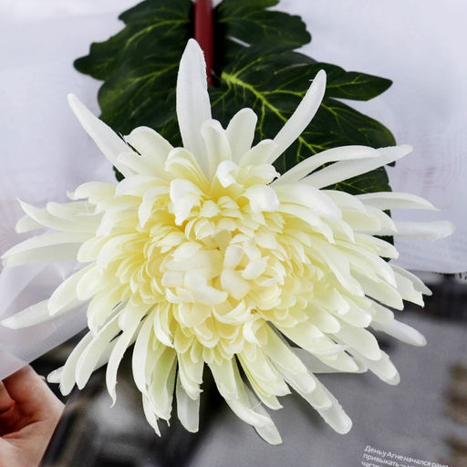 Цветы искусственные «Астра пионовидная», 17×63 см, белые