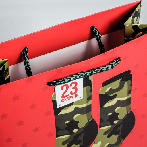 Цена за 2 шт. Пакет подарочный ламинированный, упаковка, С 23 февраля, MS 18?23?10 см