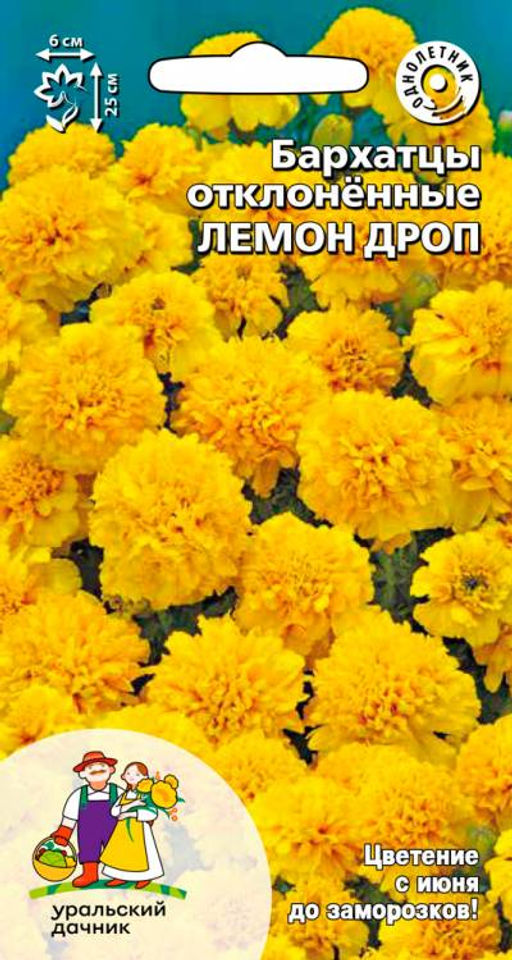 Бархатцы ЛЕМОН ДРОП Тип отклонённые махровые