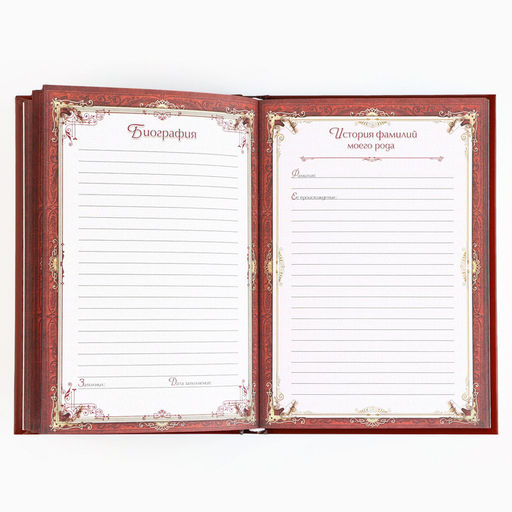 Родословная книга новогодняя «Дед Мороз» 17×2×23.7 см