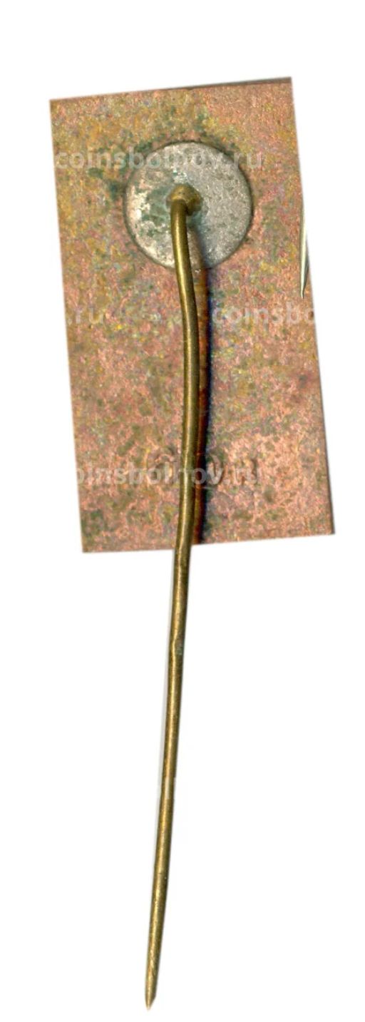 Значок Сигулда