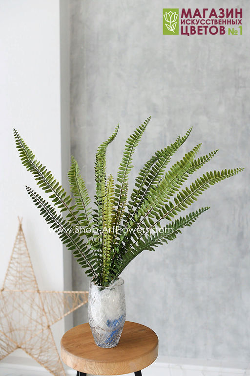 118 Папоротник 68 см - Без тм фото 2