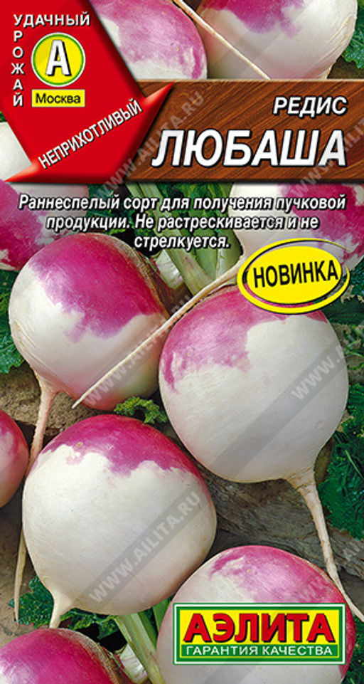 Редис Любаша