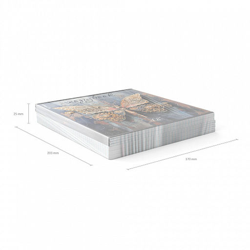 Цена за 5 шт. Тетрадь общая ученическая ErichKrause Iron Wings, 48 листов, клетка, металлизированная ламинация+твин-лак_MIX-PACK  фото 11