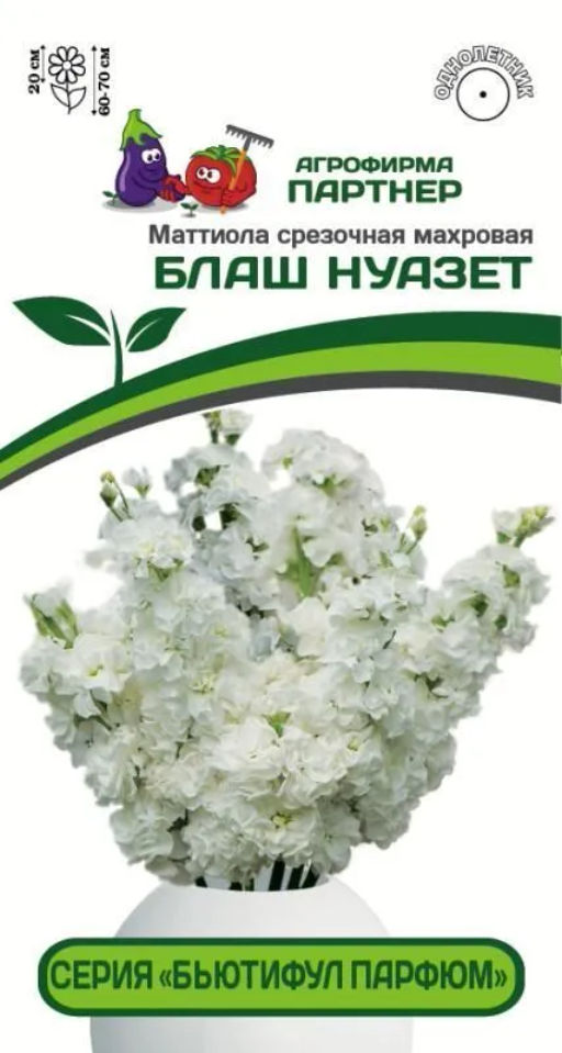 Маттиола срезочная махровая Бьютифул Парфюм Блаш Нуазет