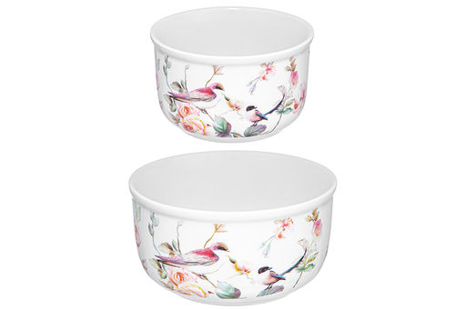 Набор 2 салатников 500 мл 13,5*13,5*7 см + 300 мл 10,5*10,5*6,5 см Певчие птички с крышк. NEW BONE - Elan gallery фото 6