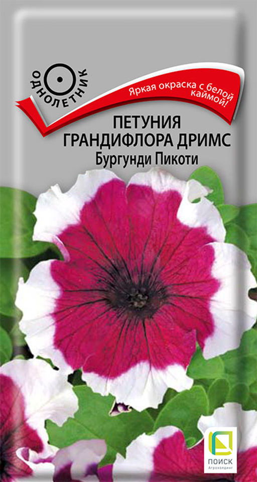 Петуния грандифлора Дримс Бургунди Пикоти (ЦВ) (1) 15 шт - Поиск фото 2
