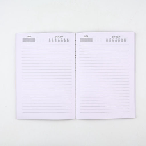 Подарочный набор, ежедневник А5, 80 листов, наклейки и ручка С 23 февраля. Сильному духом - Artfox фото 4