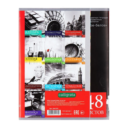Набор предметных тетрадей 48 листов, Calligrata «Чёрное-белое», 10 предметов, серые листы