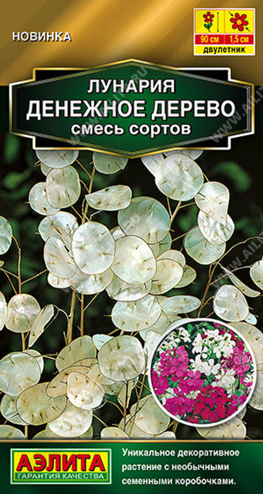 1577A Лунария Денежное дерево, смесь сортов 0,3гр