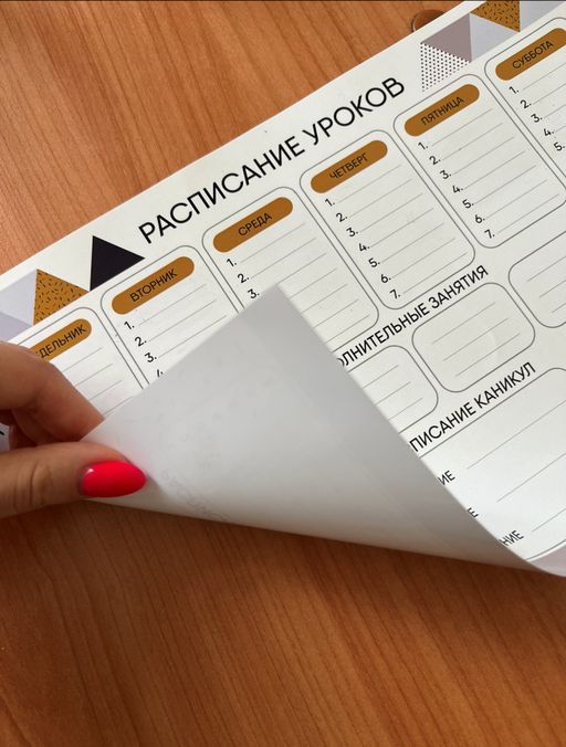 РАСПИСАНИЕ УРОКОВ ЛАМИНИРОВАННОЕ СКАНДИНАВИК 21х30 см (2728) - Мой органайзер фото 4