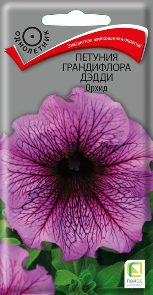 Петуния грандифлора Дэдди Орхид (ЦВ) (1) 10шт - Поиск фото 2