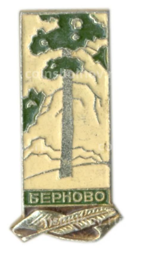 Значок Берново