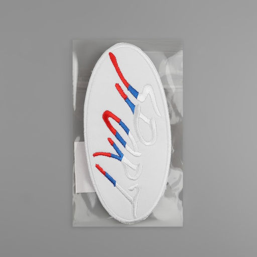 Цена за 2 шт. Термоаппликация «Sport», 10,7 × 5,1 см, цвет белый/триколор