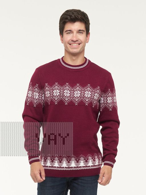 Джемпер мужской 5232-12327