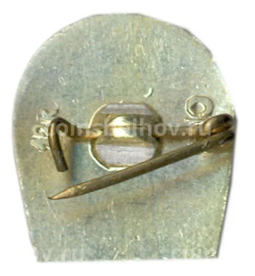 Значок Смоленск