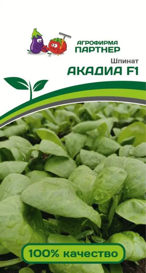 Шпинат Акадиа