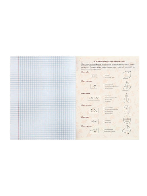 Цена за 5 шт. Тетрадь предметная 48 листов в клетку Calligrata «Журнал. Геометрия», картонная обложка, серые листы