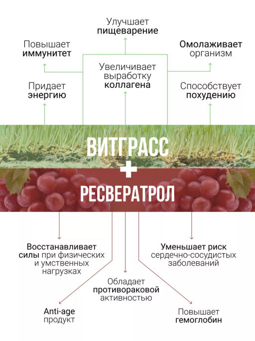 Витграсс + Ресвератрол порошок 150г (состав: ростки пшиницы (Wheat grass), жмых красного винограда ( - Sneko Gold фото 14