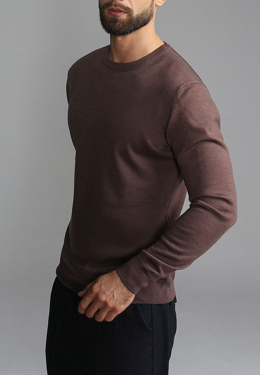 Джемпер мужской GREG G121-EV (какао)  фото 3