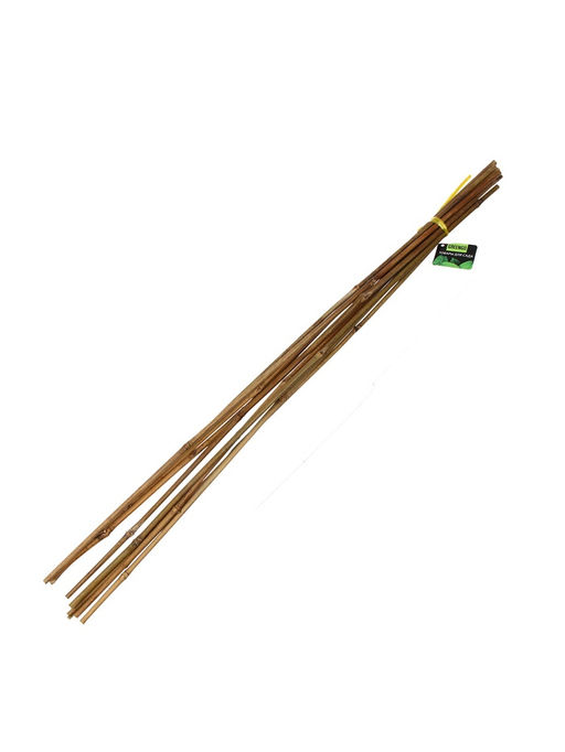 Цена за 10 шт. Колышек для подвязки растений, h=90 см, d=8-10 мм, бамбук, Greengo фото 5