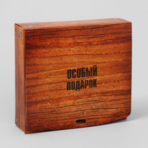 Цена за 2 шт. Коробка подарочная, упаковка, «Особый подарок», 20×18×5 см, БЕЗ ЛЕНТЫ