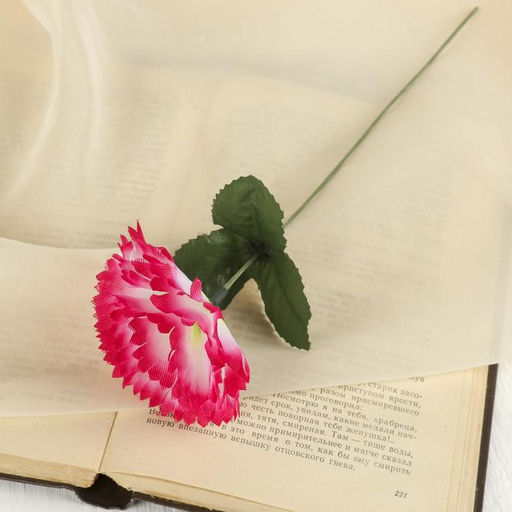 Цена за 20 шт. Цветы искусственные «Гвоздика», h=25 см, розовые