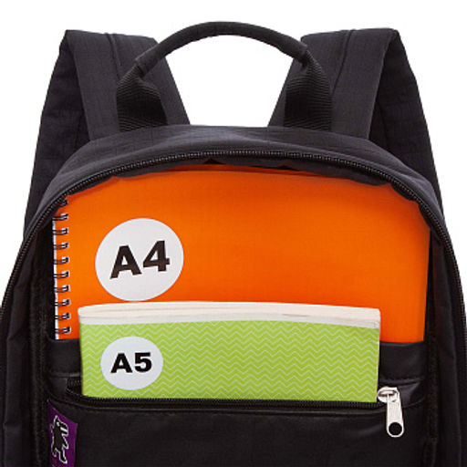 RXL-520-2 Рюкзак - Grizzly фото 12