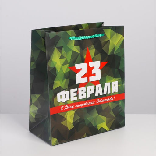 Цена за 2 шт. Пакет подарочный ламинированный, упаковка, «С 23 февраля», ML 23×27×11.5 см