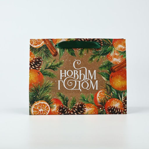 Цена за 2 шт. Пакет подарочный новогодний крафтовый «С Новым годом», MS 18×23×10 см