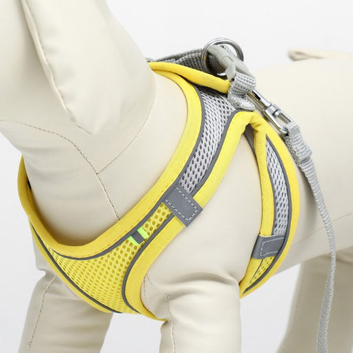 Комплект с мягкой шлейкой, размер XXS, поводок 150 х 1,5 см, ОГ 28-30 см,ОШ 24-26 см, жёлтый - Пижон фото 5