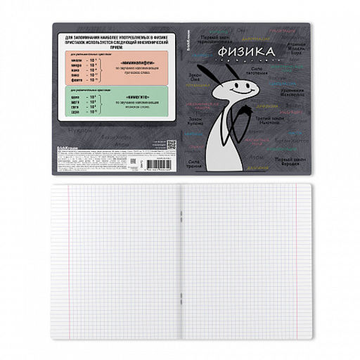 Цена за 5 шт. Тетрадь общая ученическая с пластиковой обложкой на скобе ErichKrause Чубрик, Физика, 48 листов, клетка  фото 2