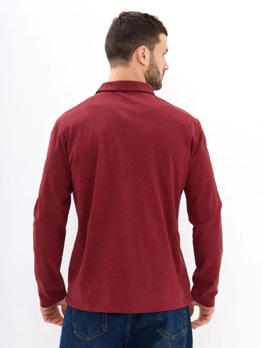 Джемпер мужской с воротником поло GREG G155-PM14T-LT7326 (бордо)  фото 4