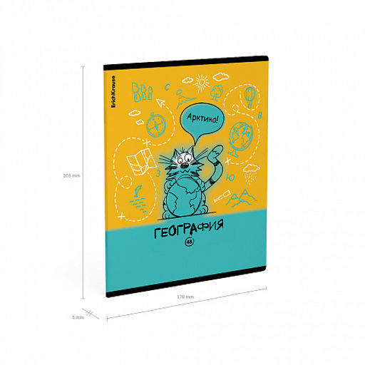 Цена за 5 шт. Тетрадь общая ученическая с пластиковой обложкой на скобе ErichKrause Котоформулы, География, 48 листов, клетка  фото 4